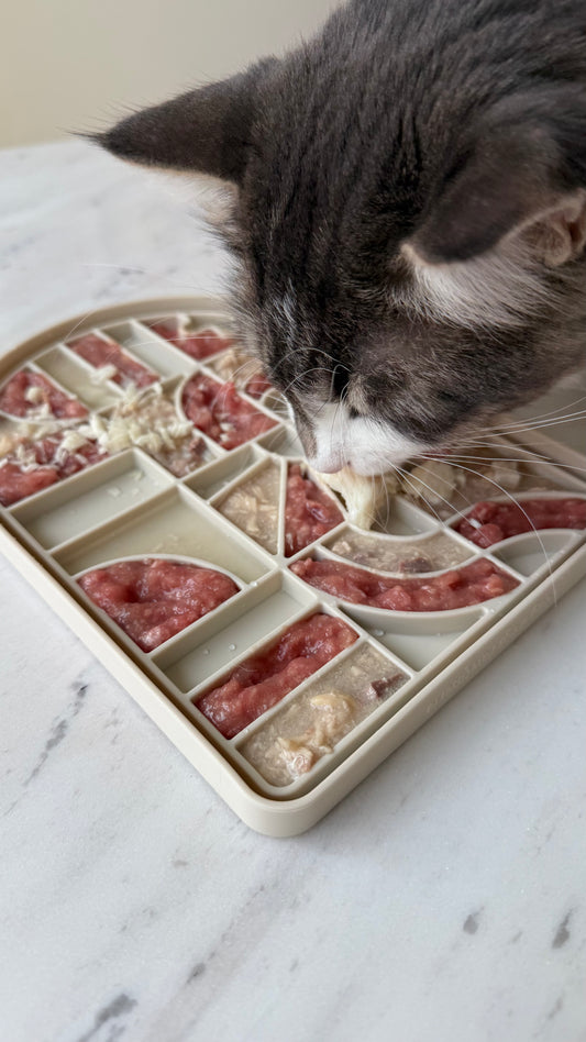 Lumina Lick Mat & Lid - Stone