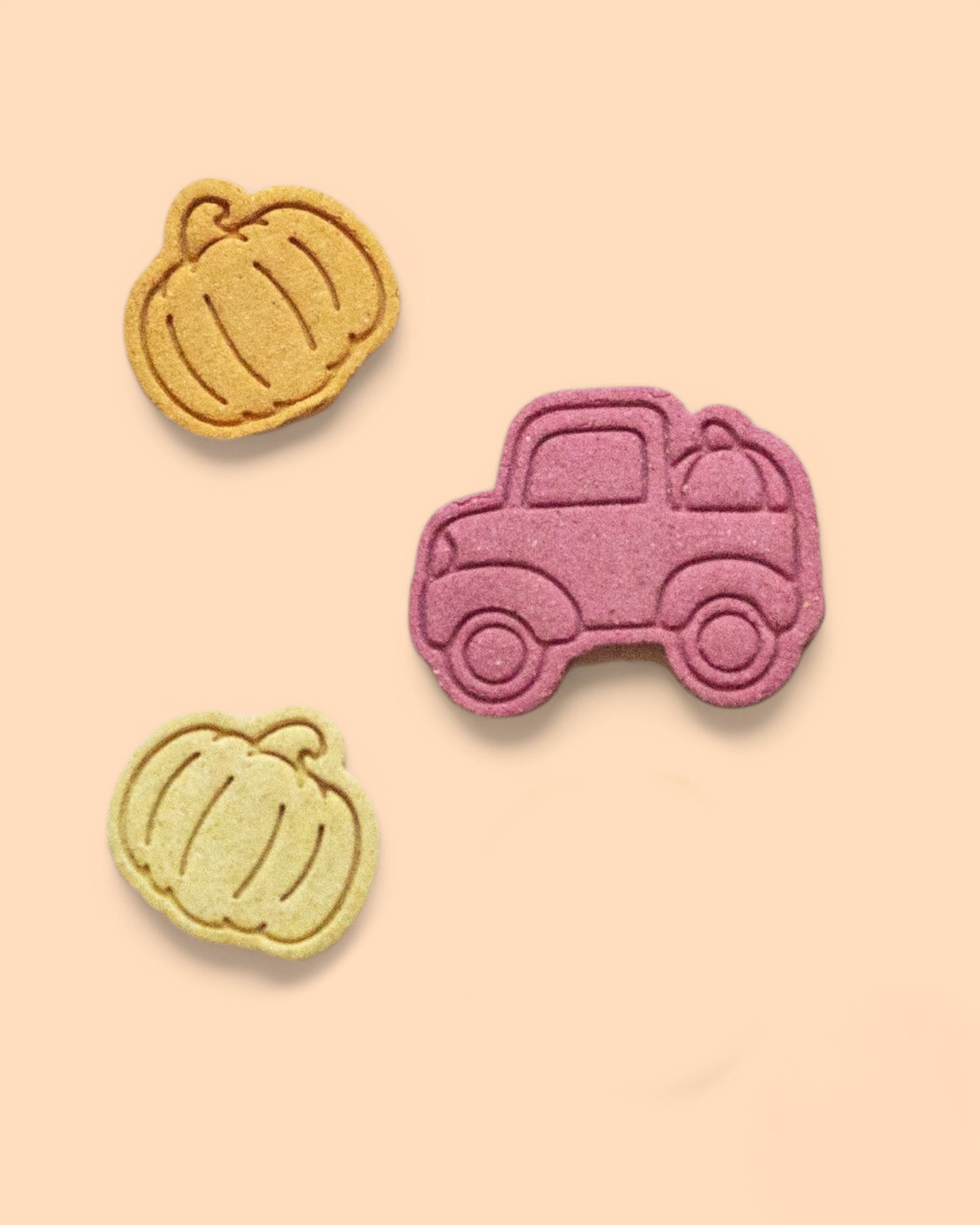 Pumpkin Patch