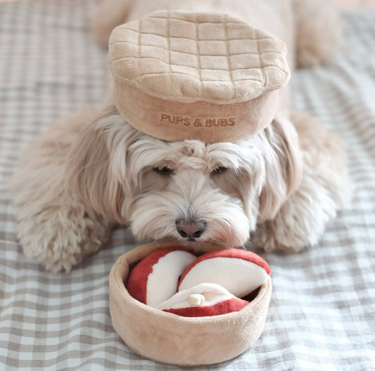 Apple Nosework Toy