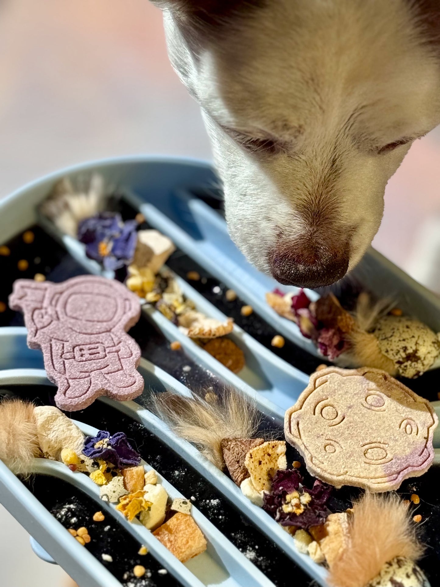 Archer - Sky