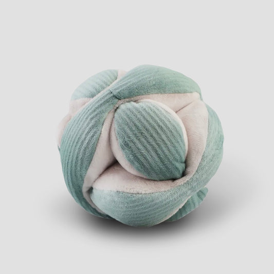 Monti Teal