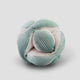 Monti Teal