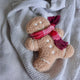 Mister Gingerbread