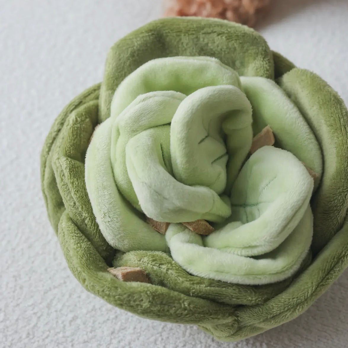 Snuffle Cabbage