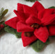 Snuffle Poinsettia