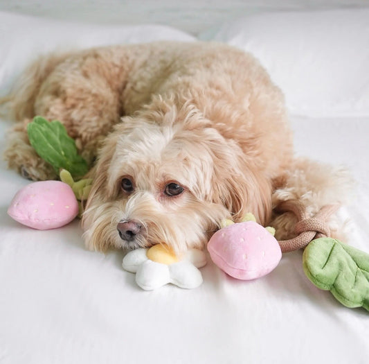 Strawberry Vine Rope Toy