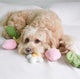 Strawberry Vine Rope Toy