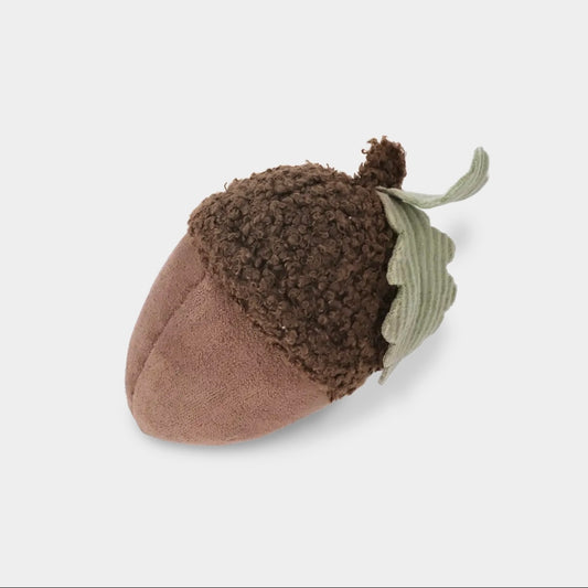Acorn