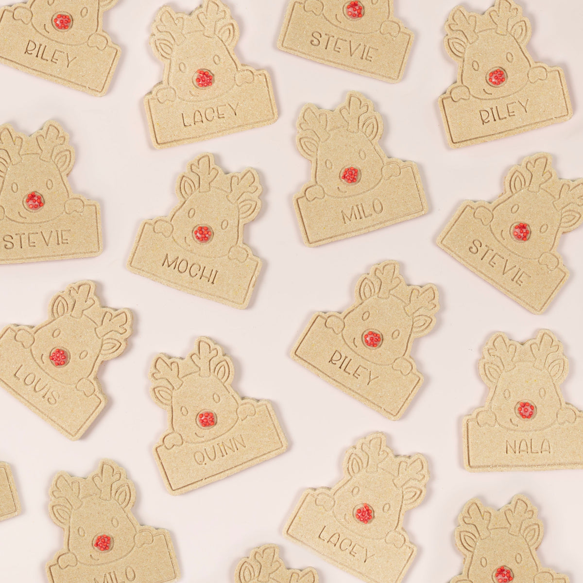 Reindeer Name Plate